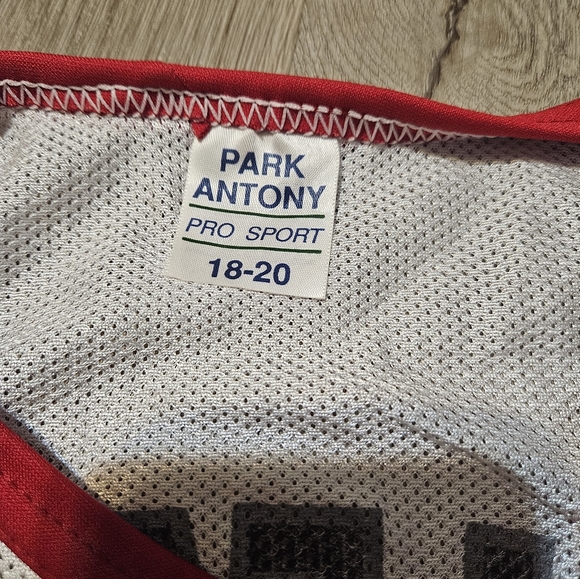 Youth size 18-20 Sebastian Telfair #31 Blazers Jersey - Picture 3 of 3